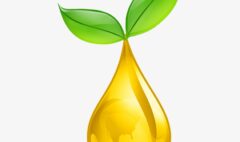 875-8755491_welcome-to-redesigned-oil-drop-logo-png